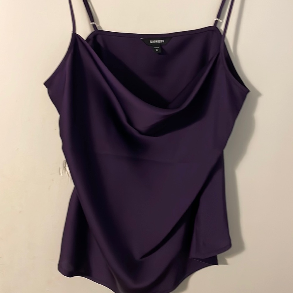 BNWOT Express Dressy cowl neck silk top